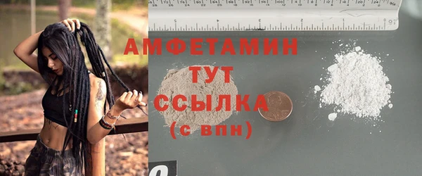 шишки Армянск