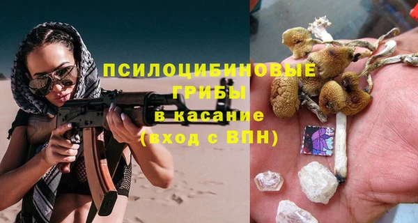 шишки Армянск