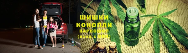 шишки Армянск
