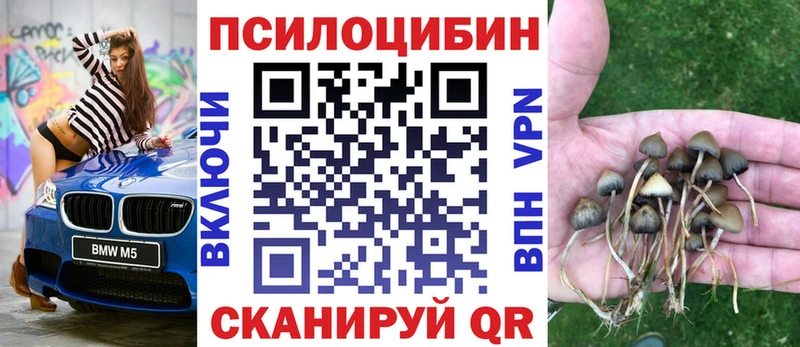 гидра как войти  Тейково  Псилоцибиновые грибы MAGIC MUSHROOMS 