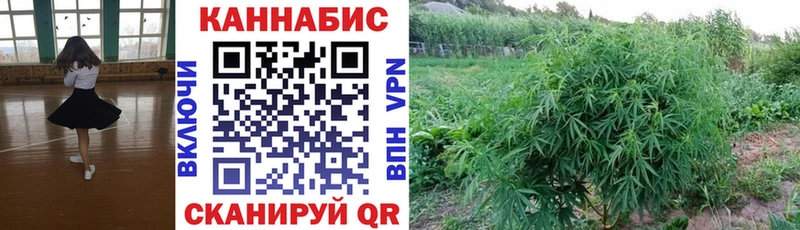 Марихуана ГИДРОПОН  Тейково 